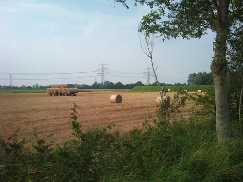 Making hay by XPeria2Day