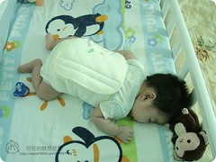 嬰兒照顧 寶寶睡覺 布偶