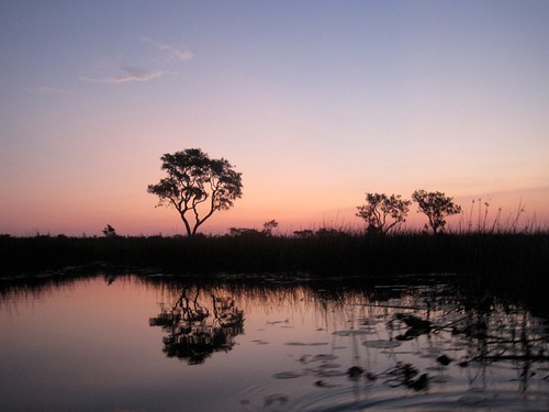Sunset on the Okavango Delta, Botswana. Victoria Stork, University of Cape Town, Spring 2010.