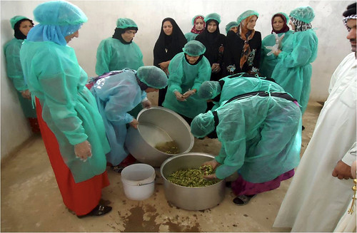 A group of Iraqi women work with vegetables during a Food Preservation Project course offered in Baghdad. Foreign Agricultural Service (FAS) agricultural advisor Thaddeus White and the Baghdad Provincial Reconstruction Team (PRT) he was assigned to worked with local non-governmental organizations to offer the course to widows and women in need. Photo credit: Thad White.