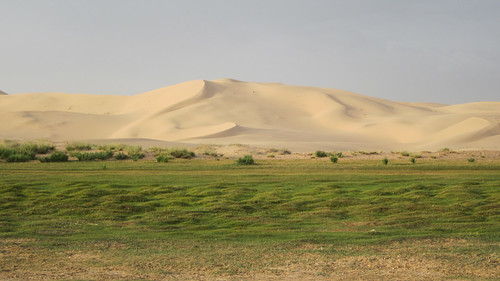 Desierto del Gobi 90