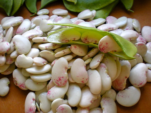 frosty lima beans