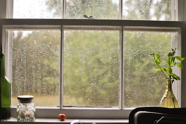 rain splattered window