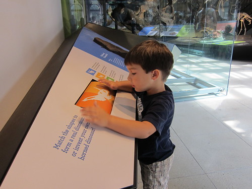 Finn checks out an exhibit