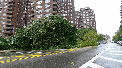 Grand & FDR Dr - Trees Down-1