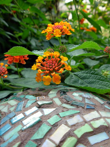 Orange Lantana Flowers and Mosaic Bowling Ball