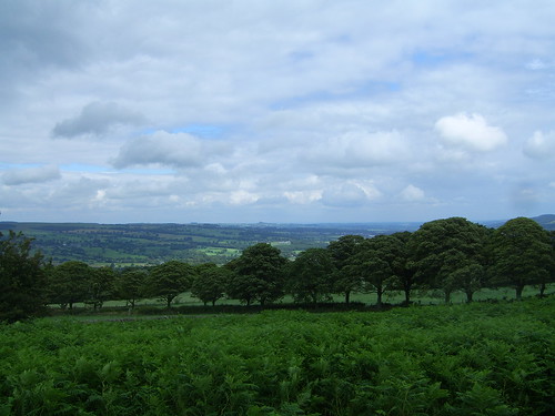 100811 Wharfedale from Burley