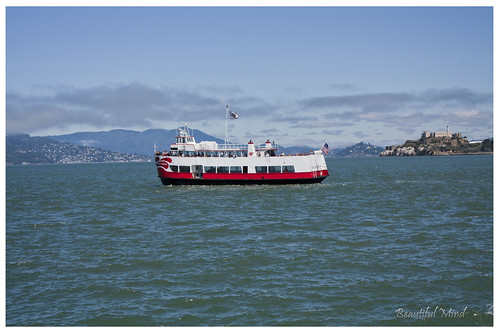 The Bay & Alcatraz