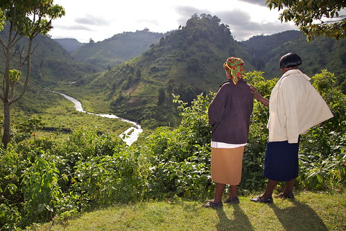 Two women looking out over reforested land