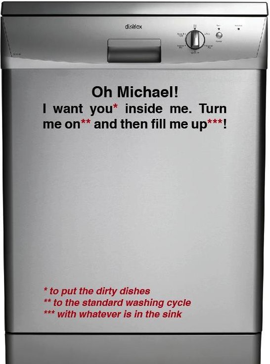 Oh Michael! I want you* inside me. Turn me on** and then fill me up***! *to put the dirty dishes **to the standard washing cycle ***with whatever is in the sink