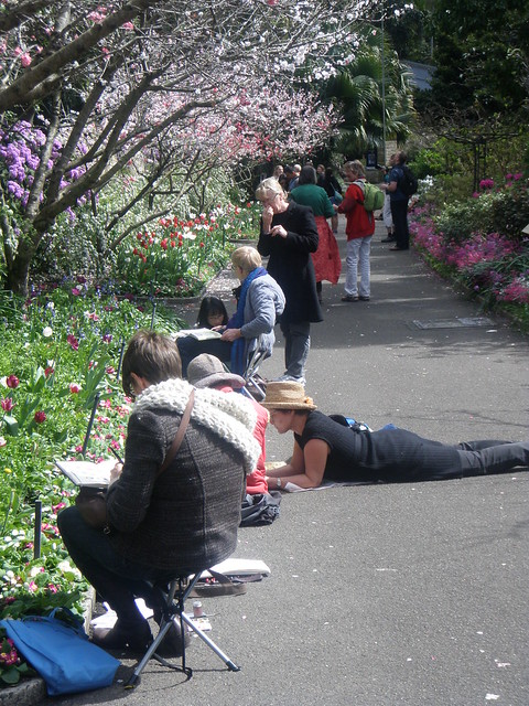 sketchers in the Royal Botanic Garden