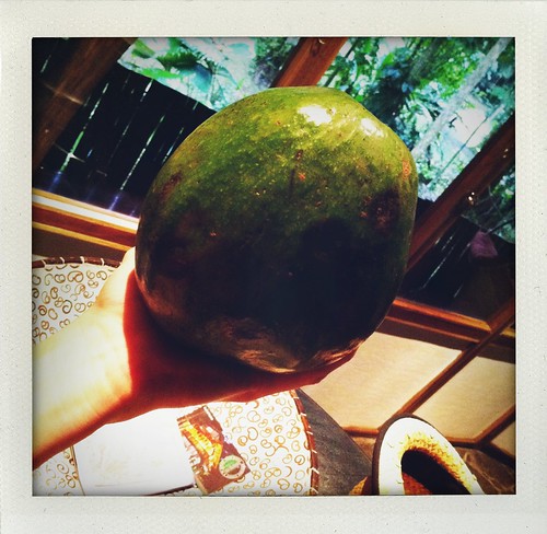Costa Rica 2011: Biggest & Yummiest Avocado Ever by Sanctuary-Studio