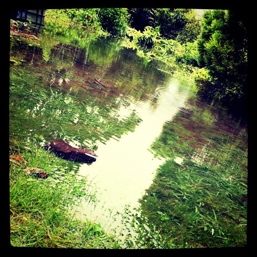 大雨で庭冠水。さすがもと水田、水はけが悪いw