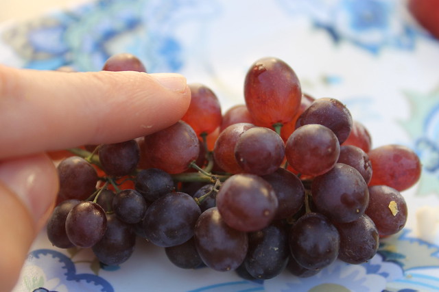 Champagne grapes!  Adorable