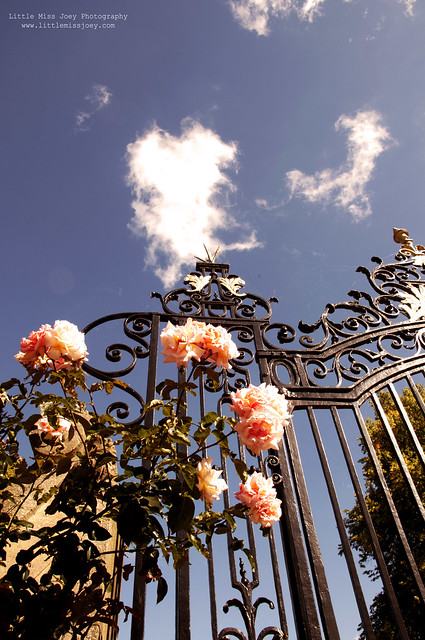 flowers at the gate