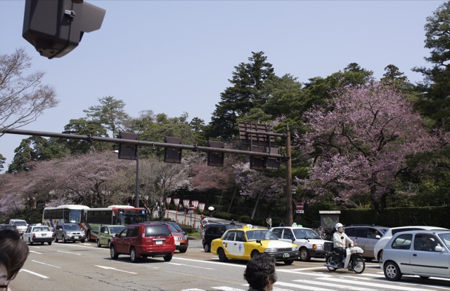 春はひと足ずつ　４月１０日　金沢市街地の桜