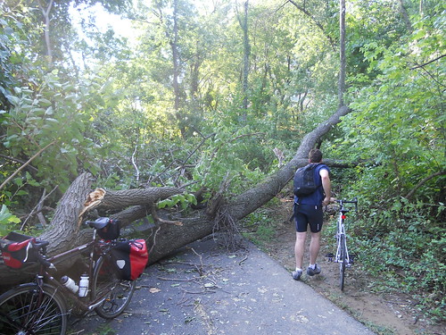 Irene Makes a Mess on the Trail