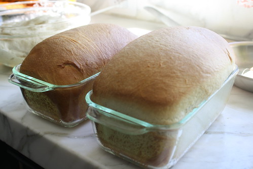 Homemade white bread