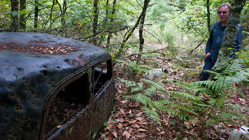 Old car in the woods