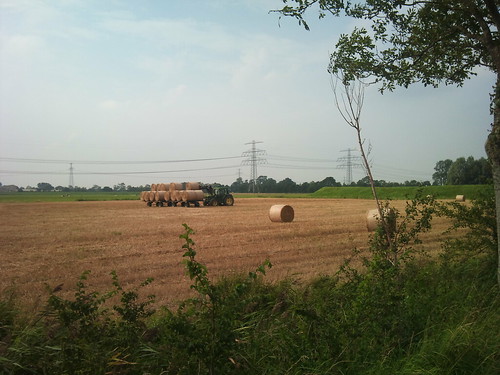 Dropping hay by XPeria2Day