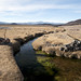 Gli splendidi canali di irrigazione di Antofagasta de la Sierra