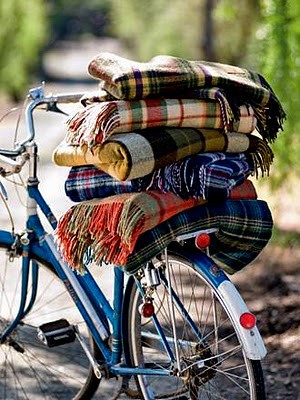plaid blankets bike