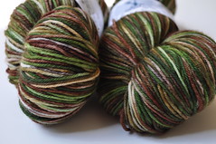 Whidbey Sock - Forest Greens MCN by Rain City Fiber Arts