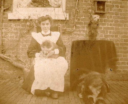 Maid with cat and two dogs. 1900s