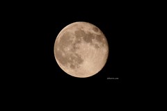 IMG_5564-B Full Moon