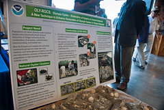 Joanne Choi's OLY-ROCs project on display at NOAA open house