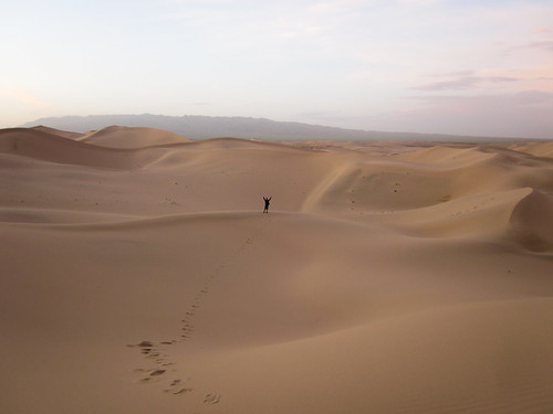 Desierto del Gobi 85