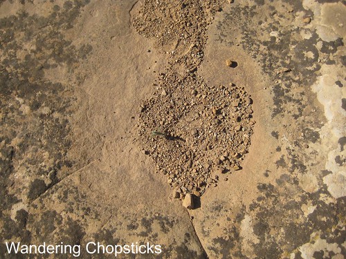 15 Petroglyph Point Trail - Mesa Verde National Park - Colorado 13