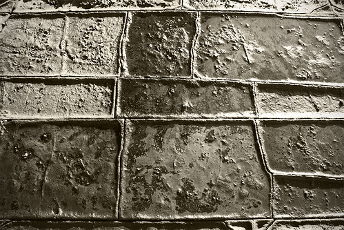 Tesselated Pavement-closeup 2