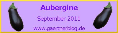 Garten-Koch-Event September 2011: 
Aubergine [30.09.2011]