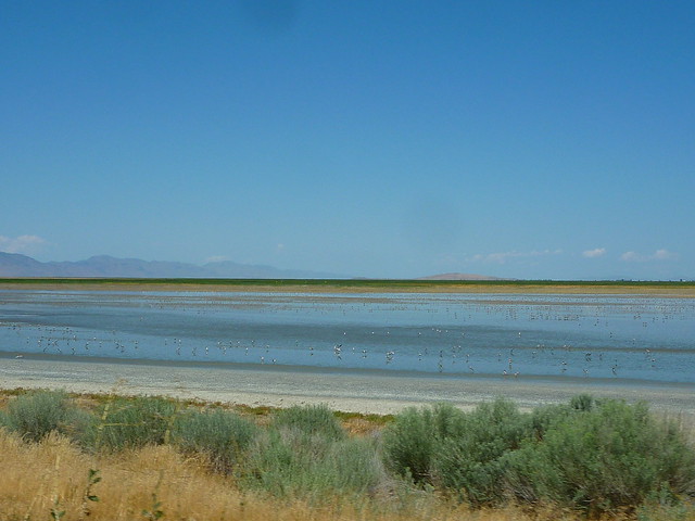 the great salt lake, utah