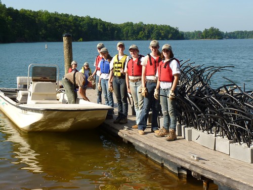 YCC crew made structures to enhance fish habitat Smith Mountain Lake