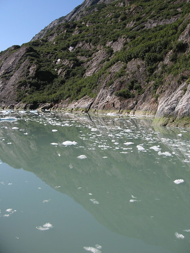 tracy arm reflection