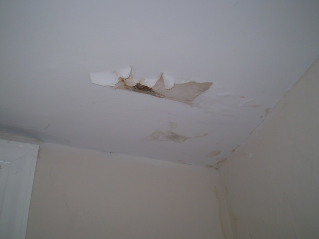 There's a hole in my ceiling by sarameg