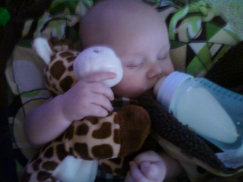 Will loves his giraffe