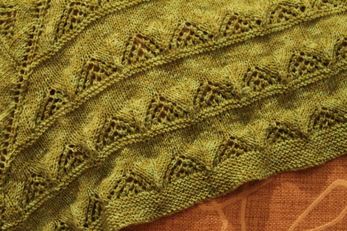 Lace detail Green Shawl