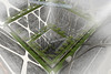 Concept 'Earthscraper' extends deep into the ground