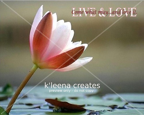 Live and Love Flower Greeting Card