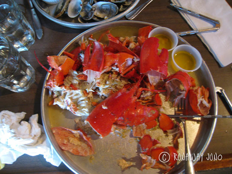 Totally smashed lobsters