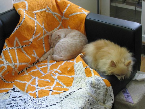 Paper Shredder Quilt, with sleeping beasts