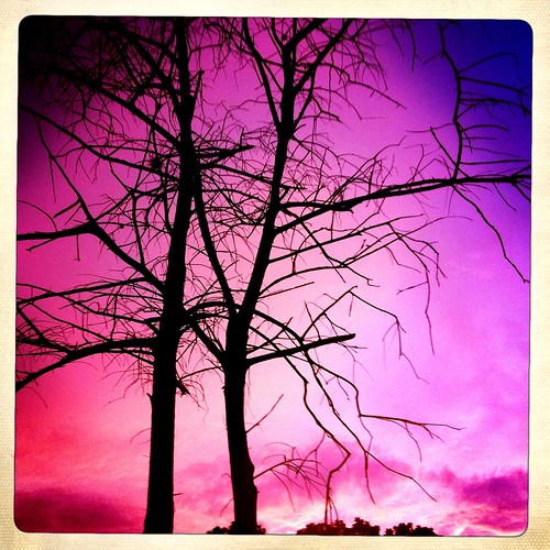 47/365- Purple Dawn by elineart