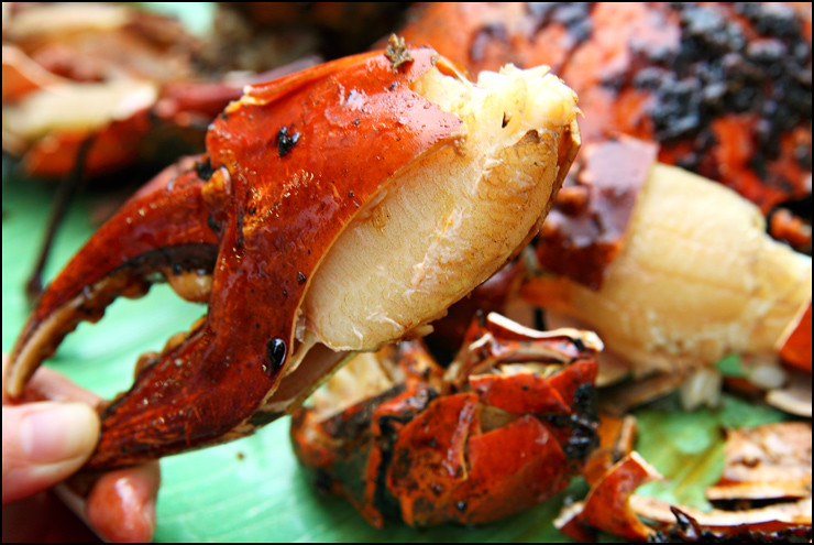 grilled-crab