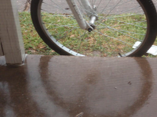 Rain with Bike Tire