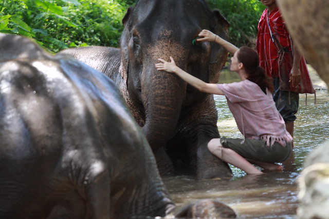 ¡TAILANDIA EN CHANCLETAS! - Blogs de Tailandia - Patara Elephant Farm (13)