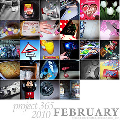 02-mosaic365-february-2010