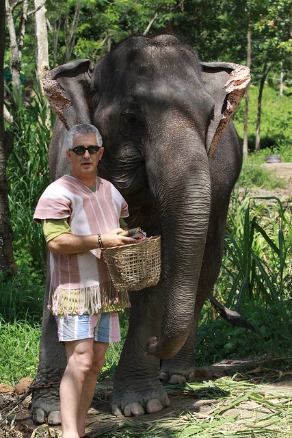 ¡TAILANDIA EN CHANCLETAS! - Blogs de Tailandia - Patara Elephant Farm (8)